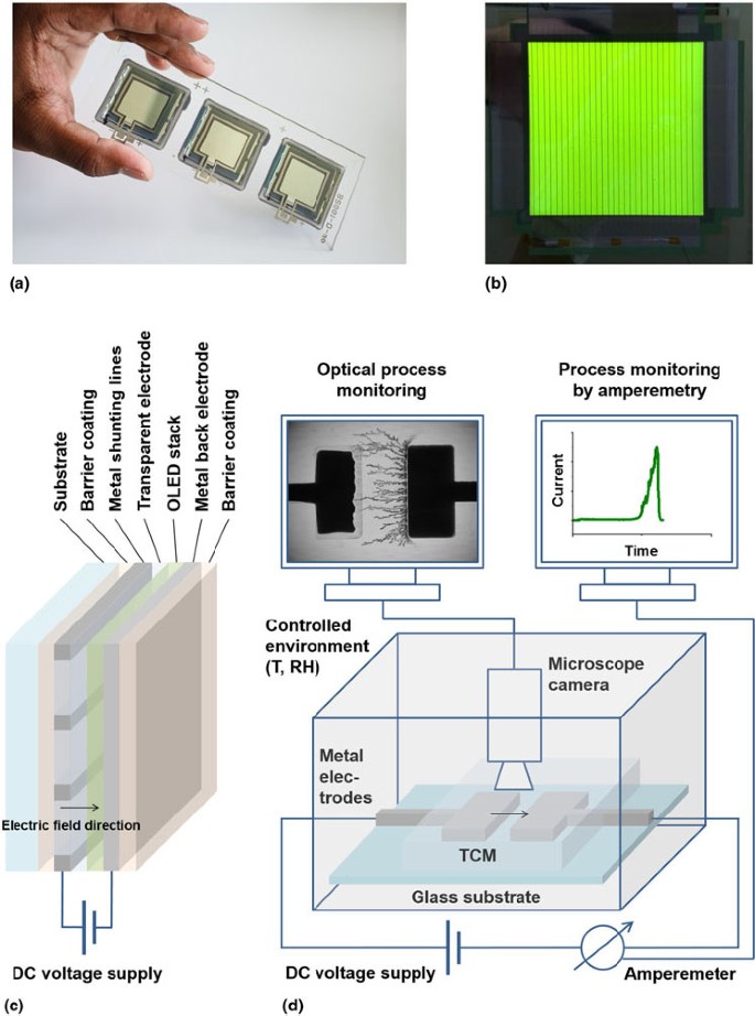 Lifetime Limitations In Organic Electronic Devices Due To Metal Electrochemical Migration Springerlink