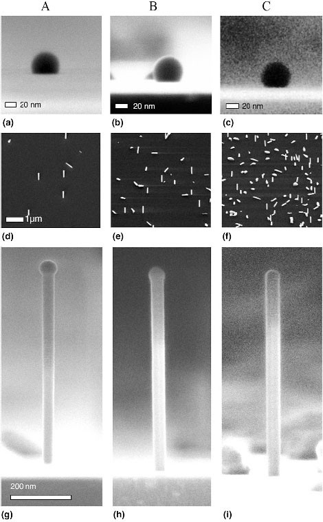 Lithography Free Variation Of The Number Density Of Self Catalyzed Gaas Nanowires And Its Impact On Polytypism Springerlink