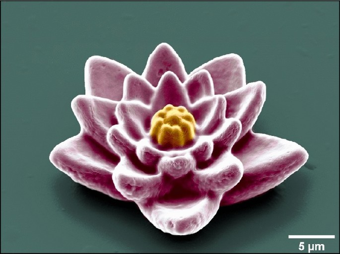 Congratulations to the 2022 MRS Spring Meeting & Exhibit “Science as Art”  Winners! By popular vote, the following images were chosen as 2nd Place  Winners. | MRS Bulletin