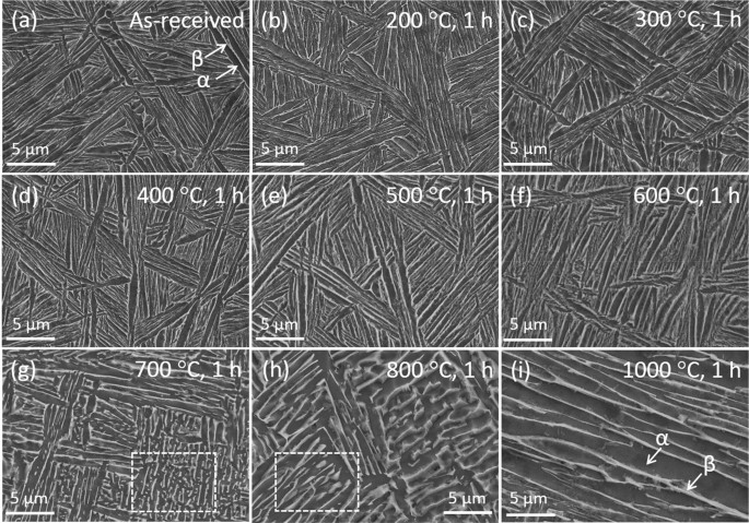 Thermal Stable Hierarchical 3d Nanolayered Zr 2 5nb Springerlink