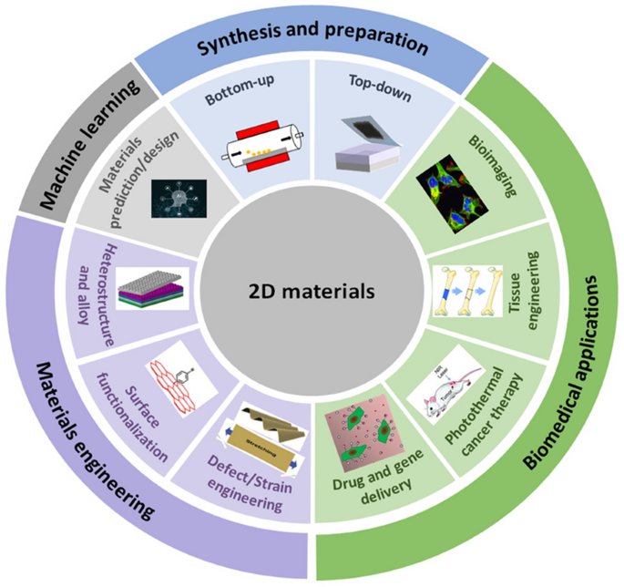 Engineered 2D materials for optical bioimaging and path toward 