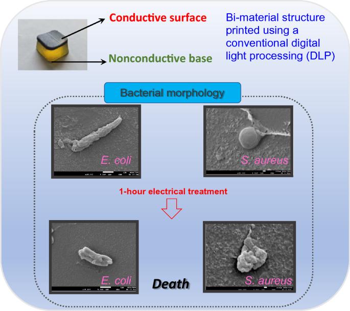 Multi-material additive manufacturing of MWCNT-based conductive  photocurable resin and its antimicrobial property | SpringerLink