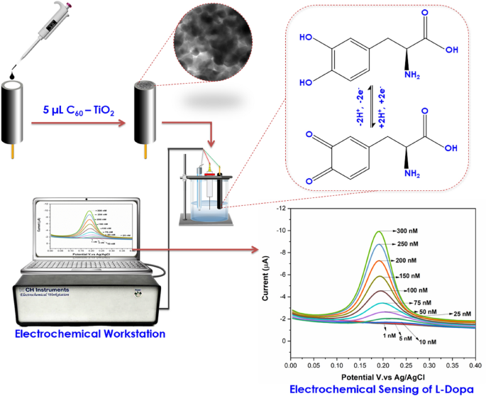 Electrochemical sensing of L-DOPA in the presence of uric acid using ...