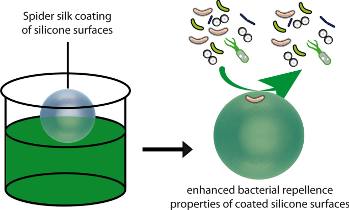 Recombinant Spider Silk Bioinks for Continuous Protein Release by