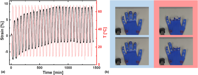 figure2