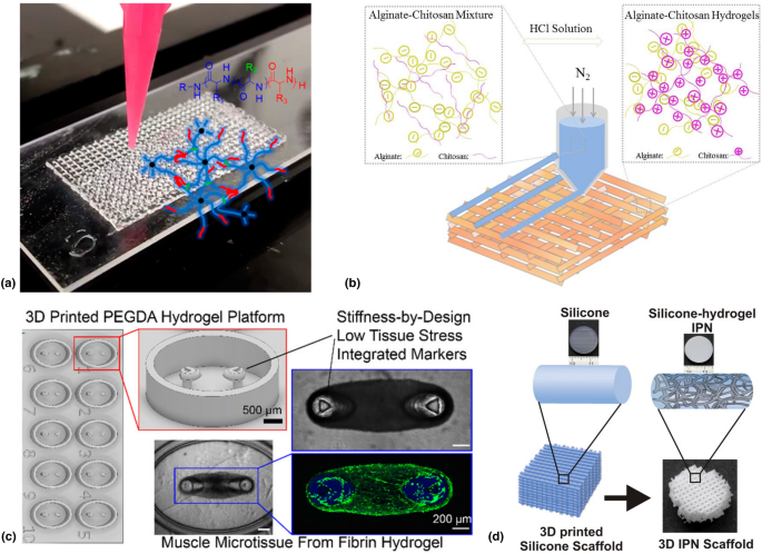 On the progress of 3D-printed hydrogels for tissue engineering |  SpringerLink