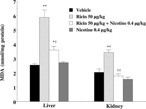 Antiinflammatory Pathway Reduces Ricin-