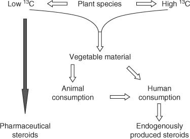 Cracking The chien steroide Code