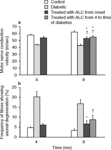 Acetyl-L-Carnitine in Diabetic Polyneuropathy | CNS Drugs | Springer Nature Link Acetyl-L-Carnitine in Diabetic Polyneuropathy | CNS Drugs | Springer Nature Link