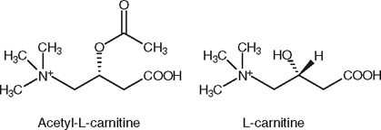 Acetyl-L-Carnitine in Neuropathic Pain | CNS Drugs | Springer Nature Link