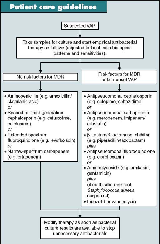 Early intervention with empirical antibacterials is essential in the  treatment of ventilator-associated pneumonia | Drugs & Therapy Perspectives 