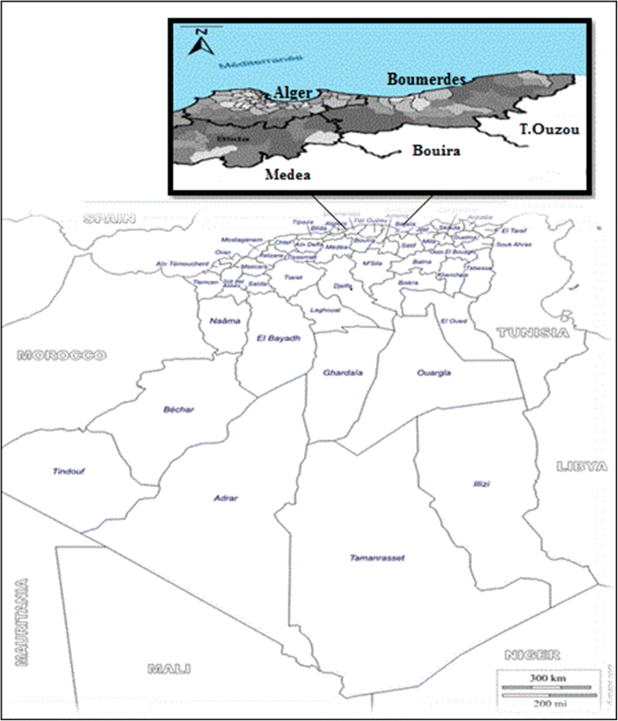 Evaluation Of Fasciola Hepatica Infections In Cattle In Northeastern Algeria And The Effects On Both Enzyme And Hepatic Damage Confirmed By Scanning Electron Microscopy Springerlink