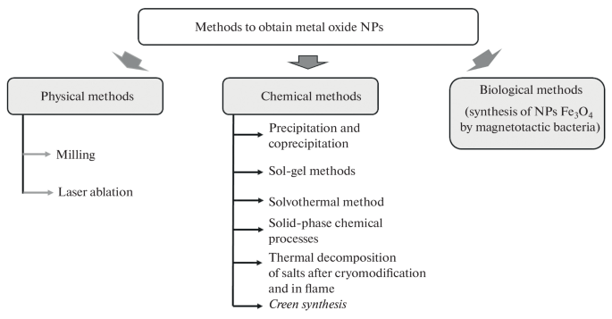 Green Synthesis of Metal Oxide Nanoparticles | Moscow University ...