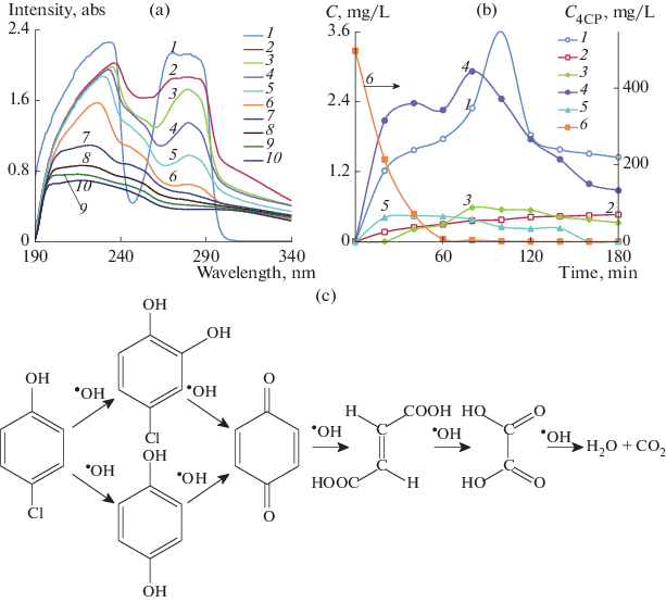 Degradation Pathway And Kinetics Of 4 Chlorphenol By Sn Sb Mn Gac Composite Particle Electrode Springerlink