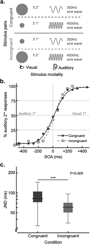 Crossmodal Correspondences A Tutorial Review Springerlink