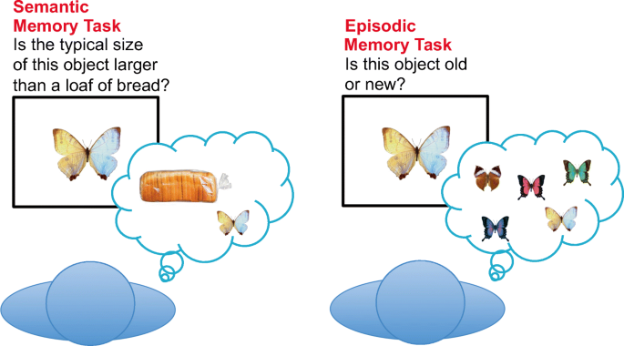 semantic memory model