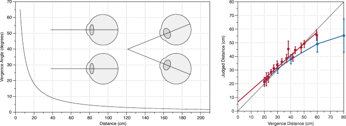 Does Vision Extract Absolute Distance From Vergence Springerlink