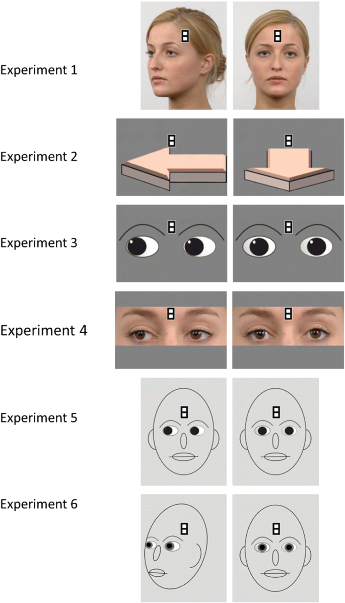 Gaze and Eye Contact Research, PDF