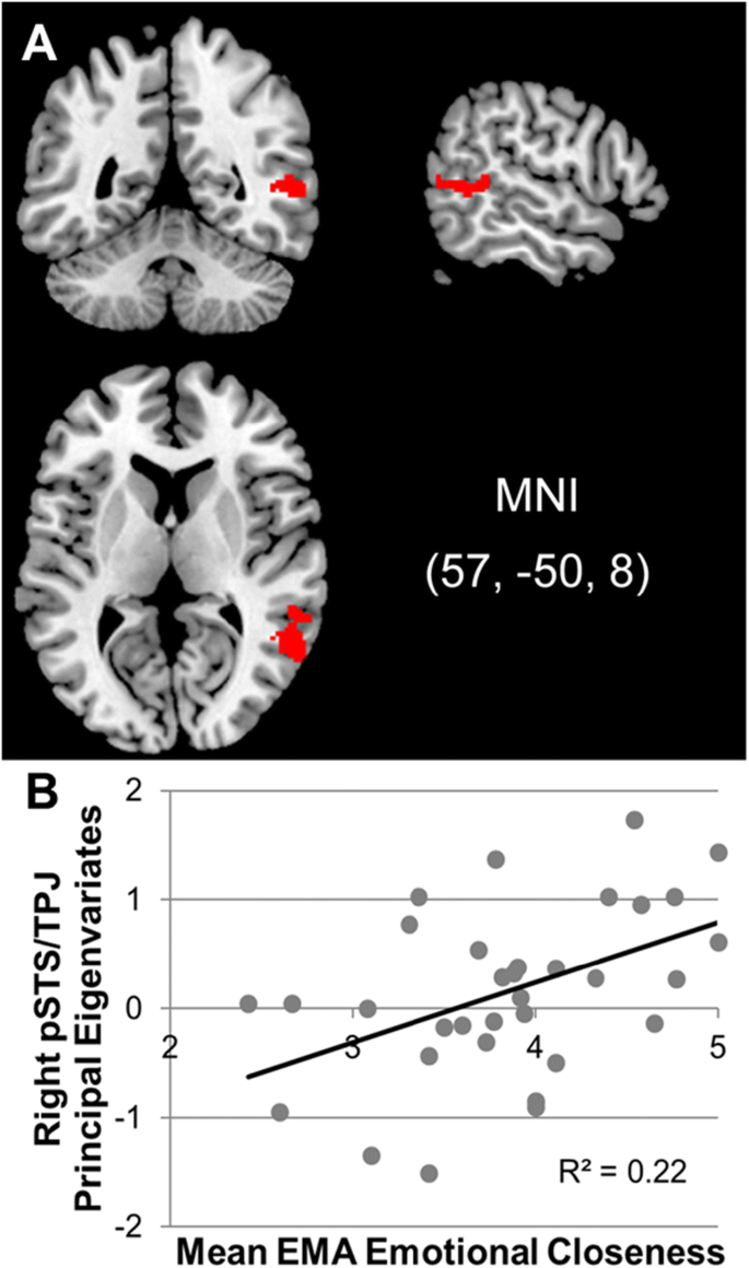 Adolescents Neural Response To Social Reward And Real World Emotional Closeness And Positive Affect Springerlink