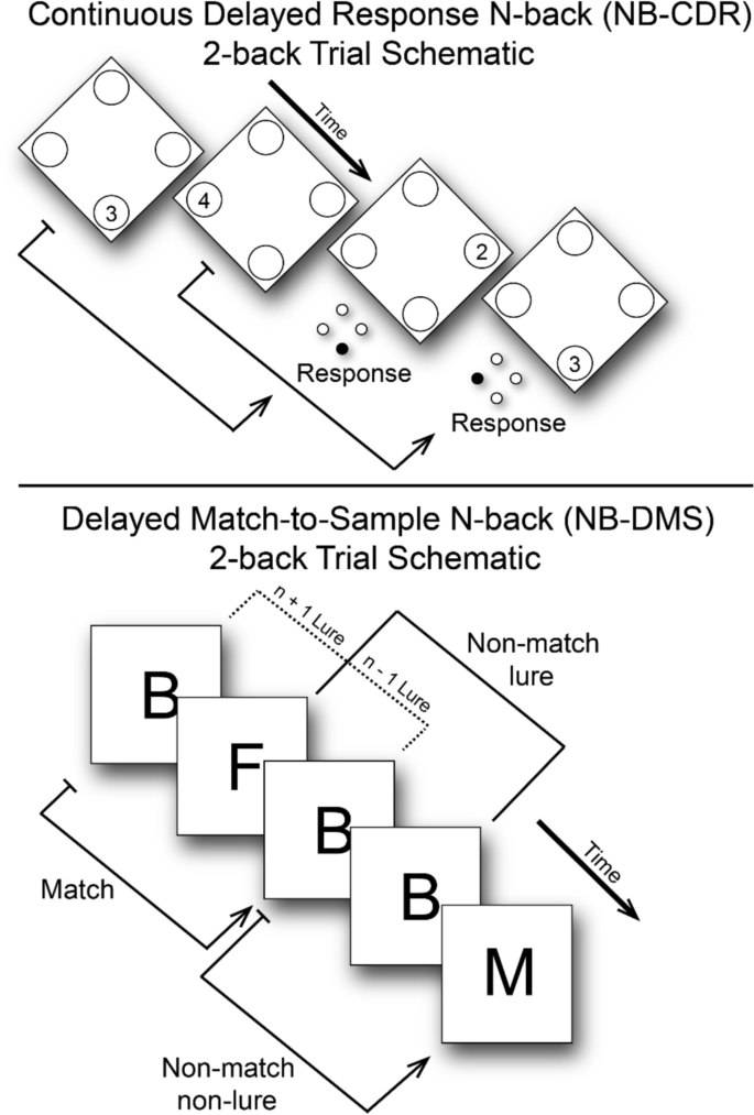 The latent structure of working memory: A large sample factor model of ...