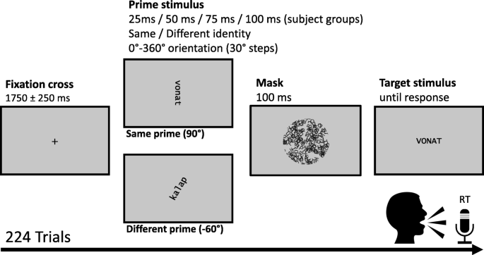 Can be processed automatically? Evidence from repetition priming | SpringerLink