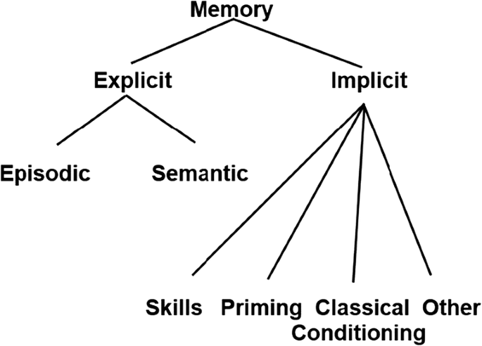 semantic memory model