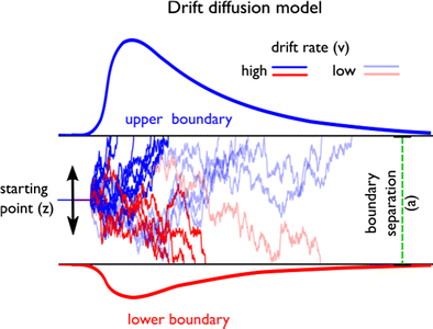 The drift diffusion model as the choice rule in reinforcement learning |  SpringerLink