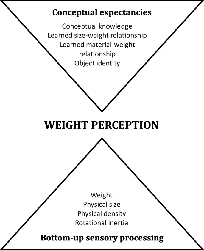 size weight illusion experiment figure 1