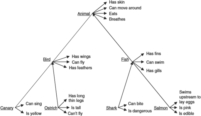 semantic network model of memory