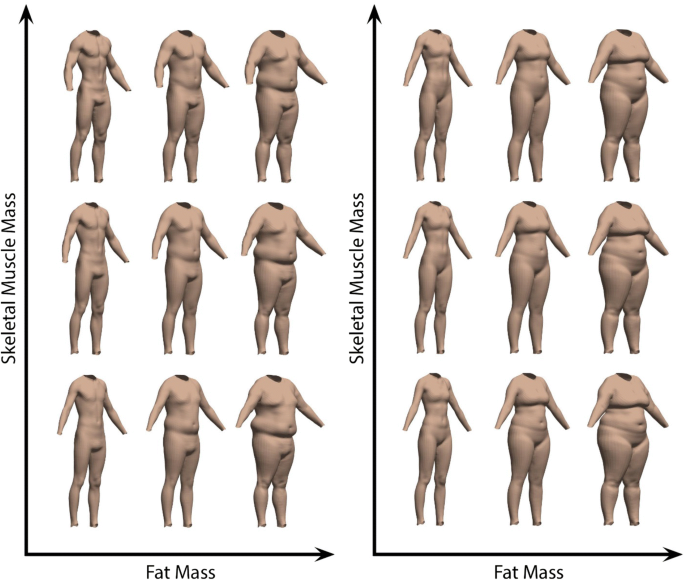 Beyond BMI for self-estimates of body size and shape: A new method for  developing stimuli correctly calibrated for body composition | SpringerLink