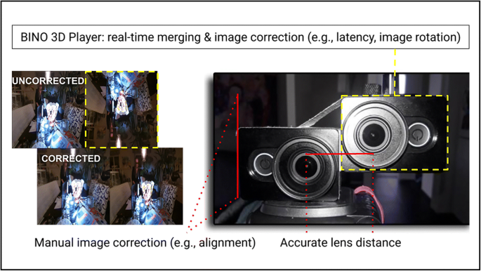 absceso Calendario Artefacto LIVE-streaming 3D images: A neuroscience approach to full-body illusions |  SpringerLink