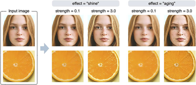 photo editing research paper figure 2