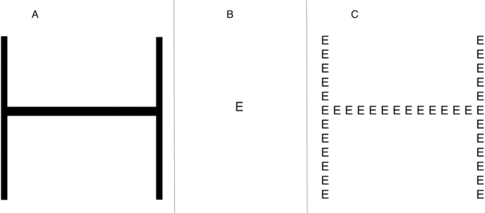 Computerized Open-Source Navon Test (COSNaT): Normative data for the ...