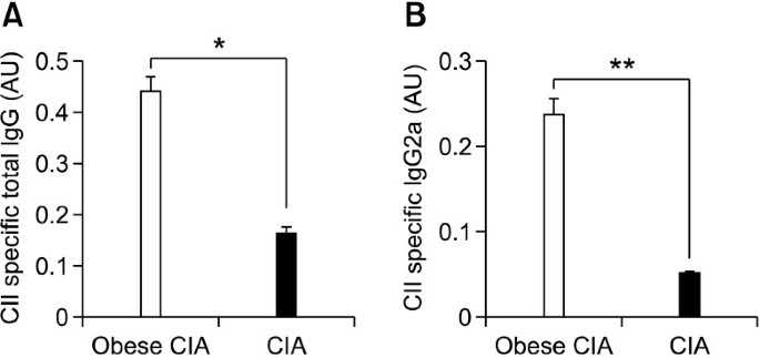 Obesity Aggravates The Joint Inflammation In A Collagen Induced Arthritis Model Through Deviation To Th17 Differentiation Experimental Molecular Medicine