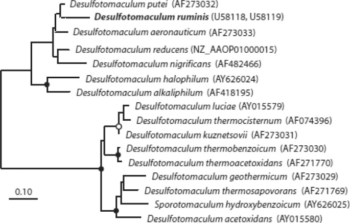 figure 6a