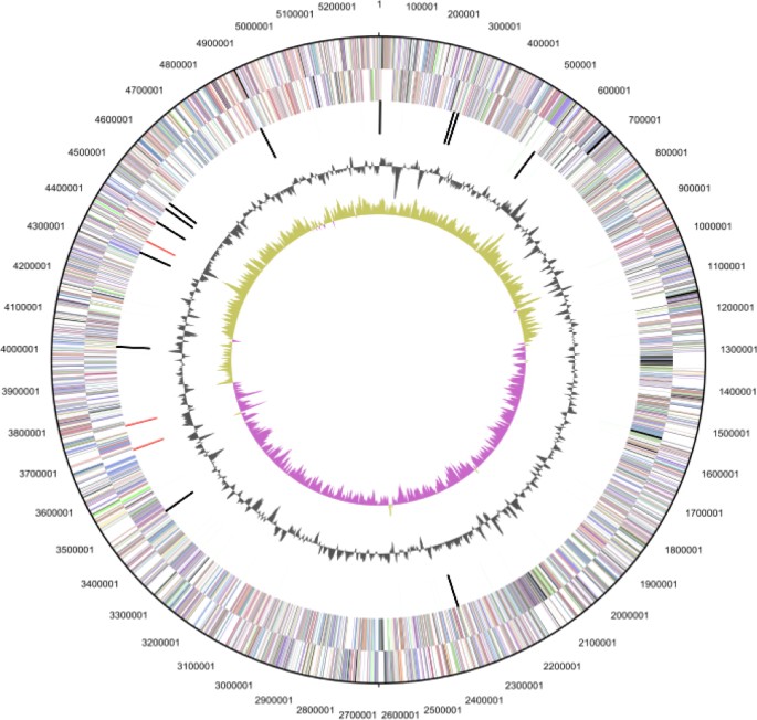 figure 3a