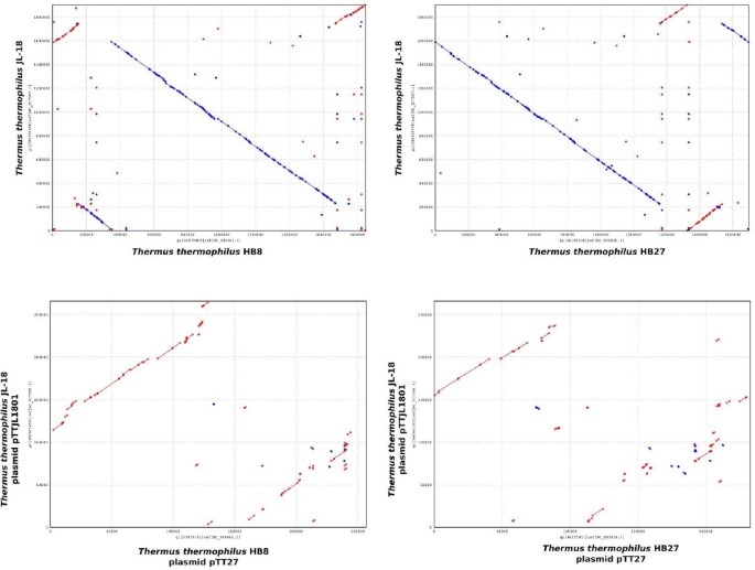 figure 4a