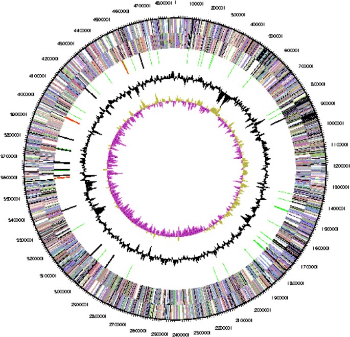 figure 3a