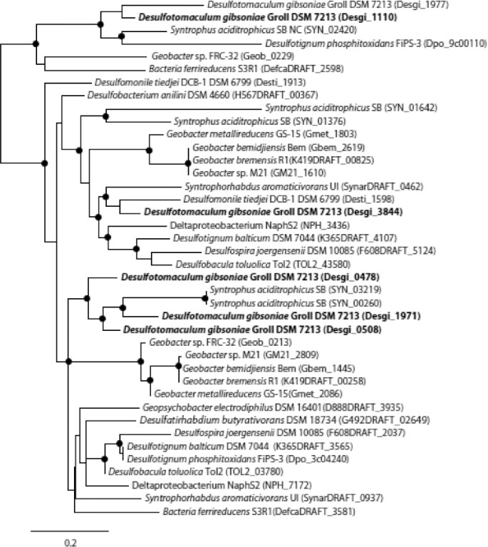 figure 6b