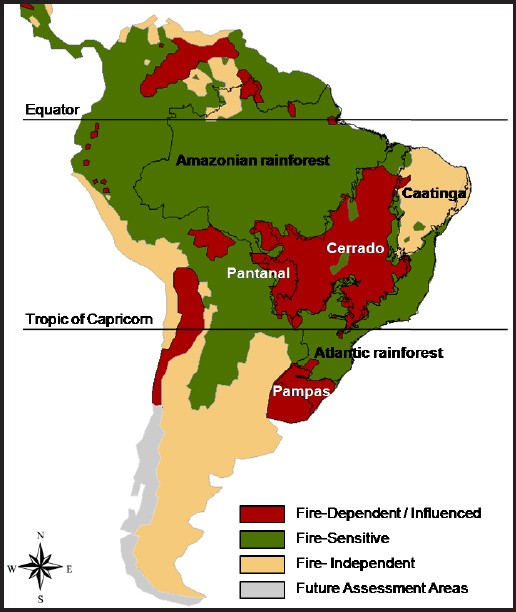 The Use Of Fire In The Cerrado And Amazonian Rainforests Of Brazil Past And Present Fire Ecology Full Text