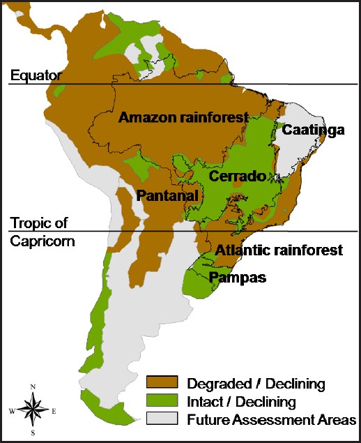 The Use Of Fire In The Cerrado And Amazonian Rainforests Of Brazil Past And Present Fire Ecology Full Text