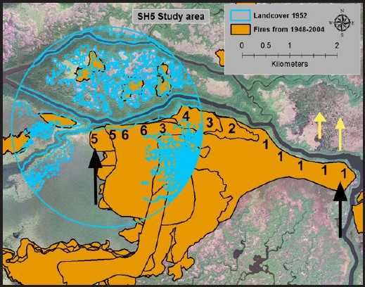 figure 2b