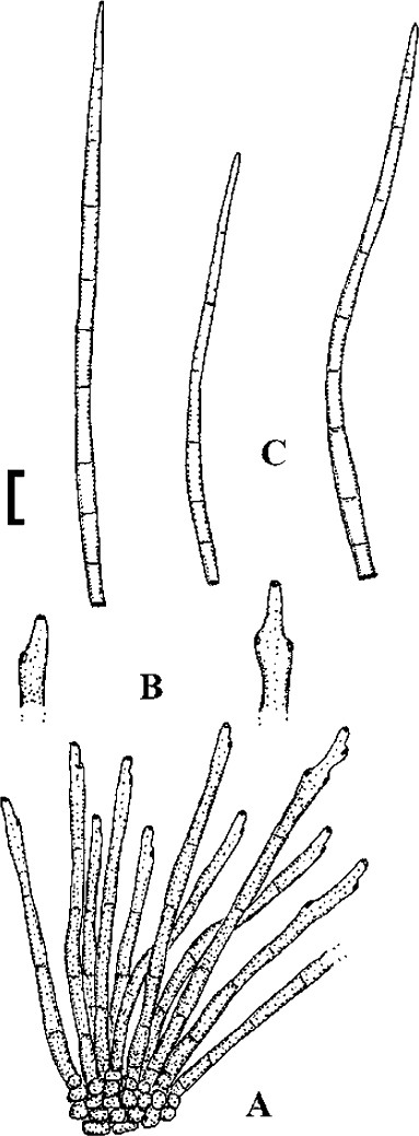 figure 22