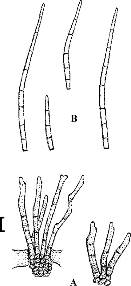 figure 23