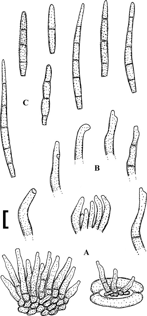 figure 105