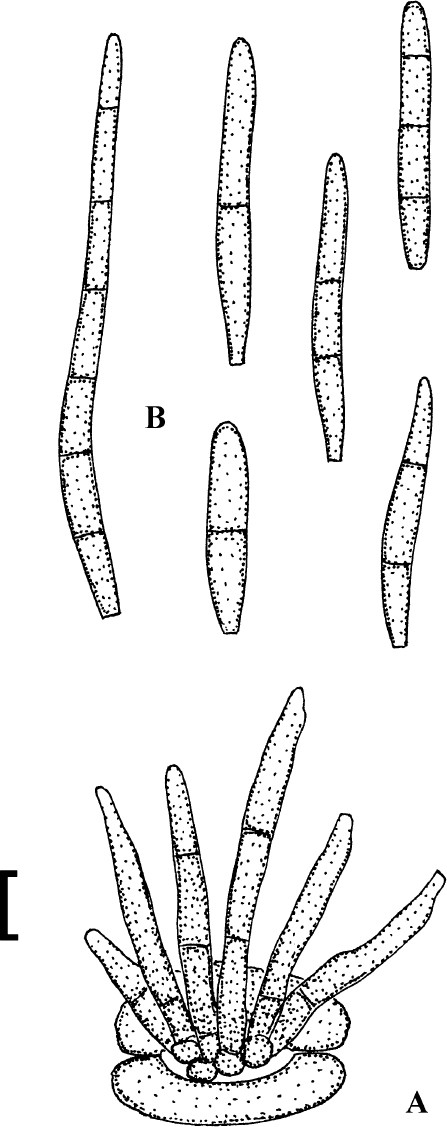 figure 108