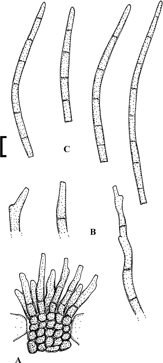 figure 114