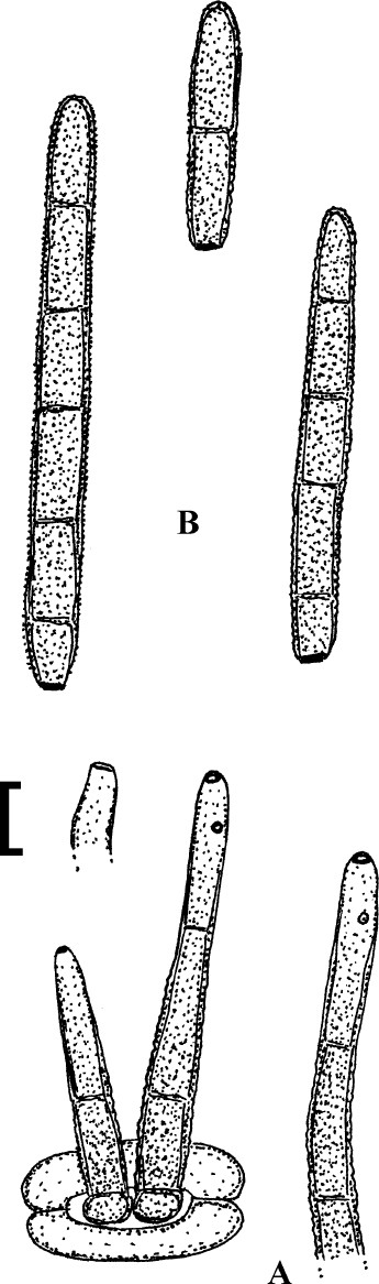 figure 125