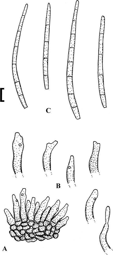 figure 130