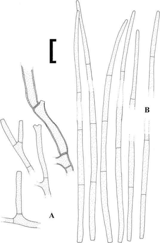 figure 132